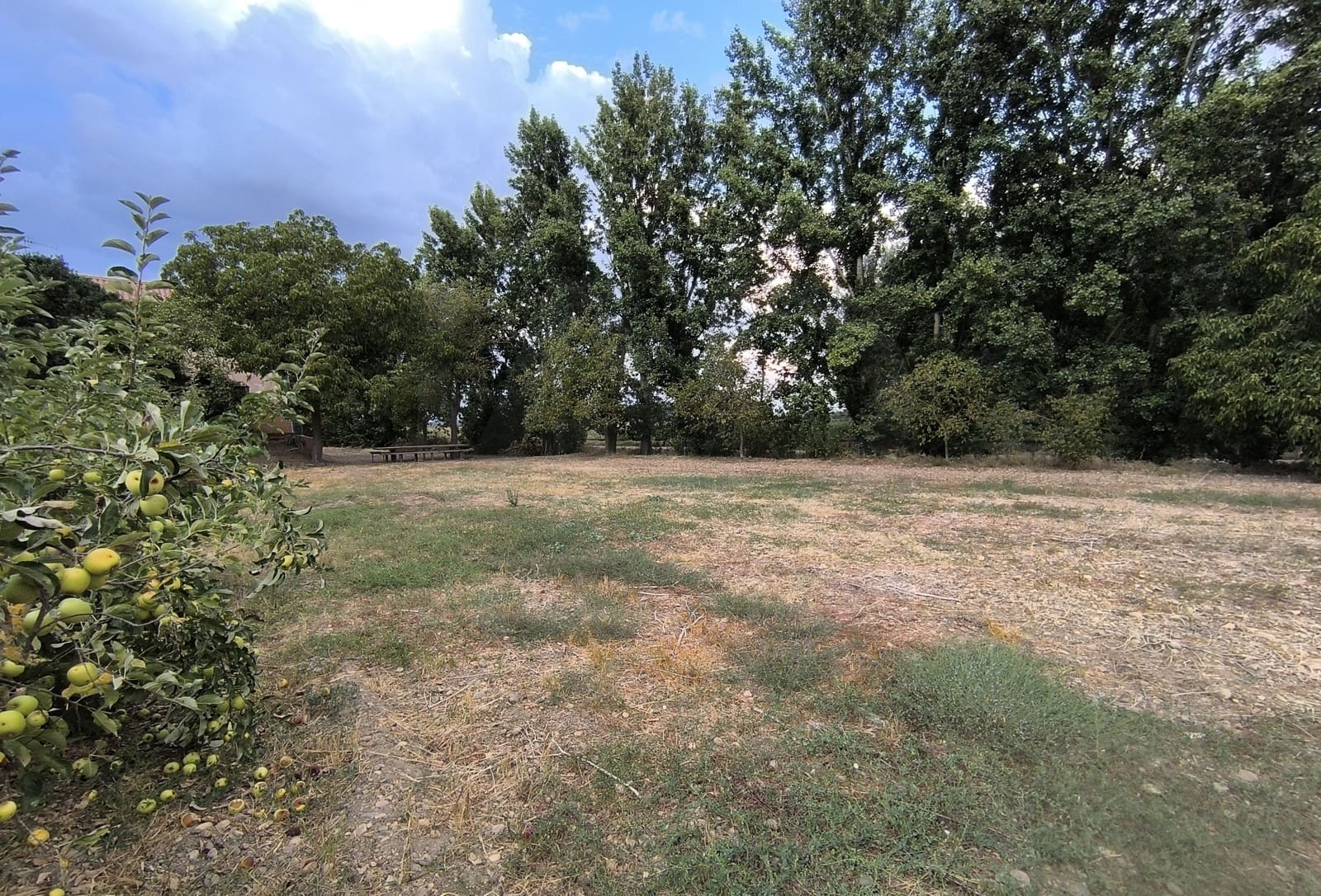 Building Plot for sale in San Millan de los Caballeros - € 25,800 (Ref: 10162247)