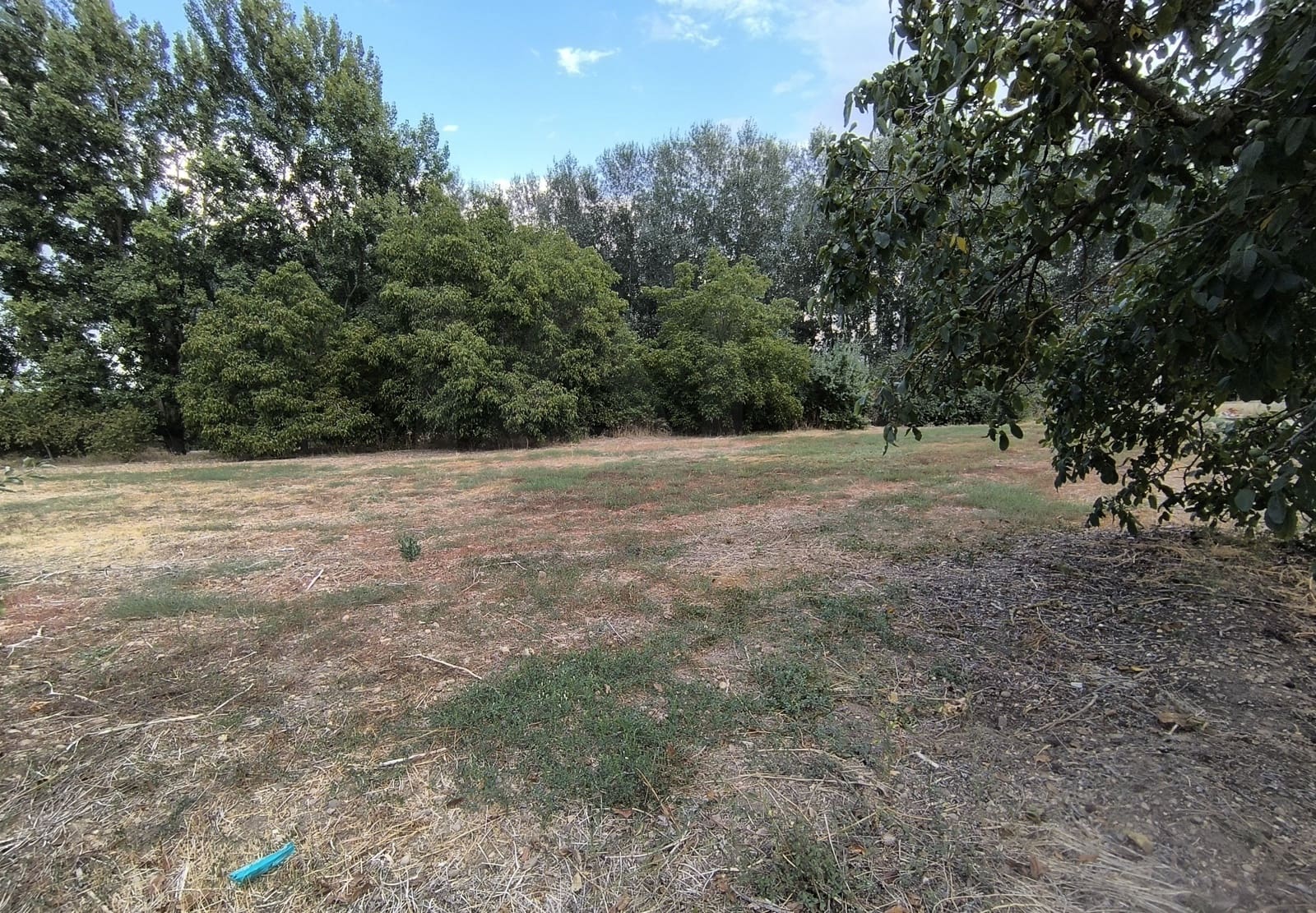 Building Plot for sale in San Millan de los Caballeros - € 25,800 (Ref: 10162247)