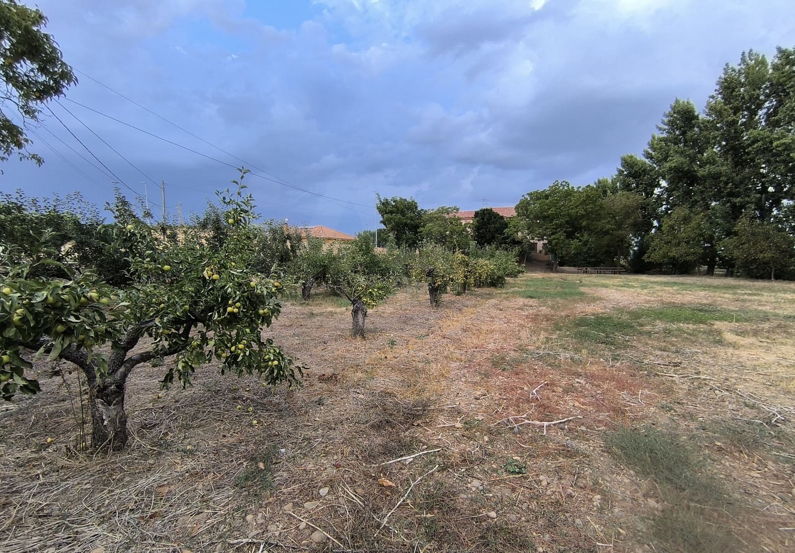 Building Plot for sale in San Millan de los Caballeros - € 25,800 (Ref: 10162247)