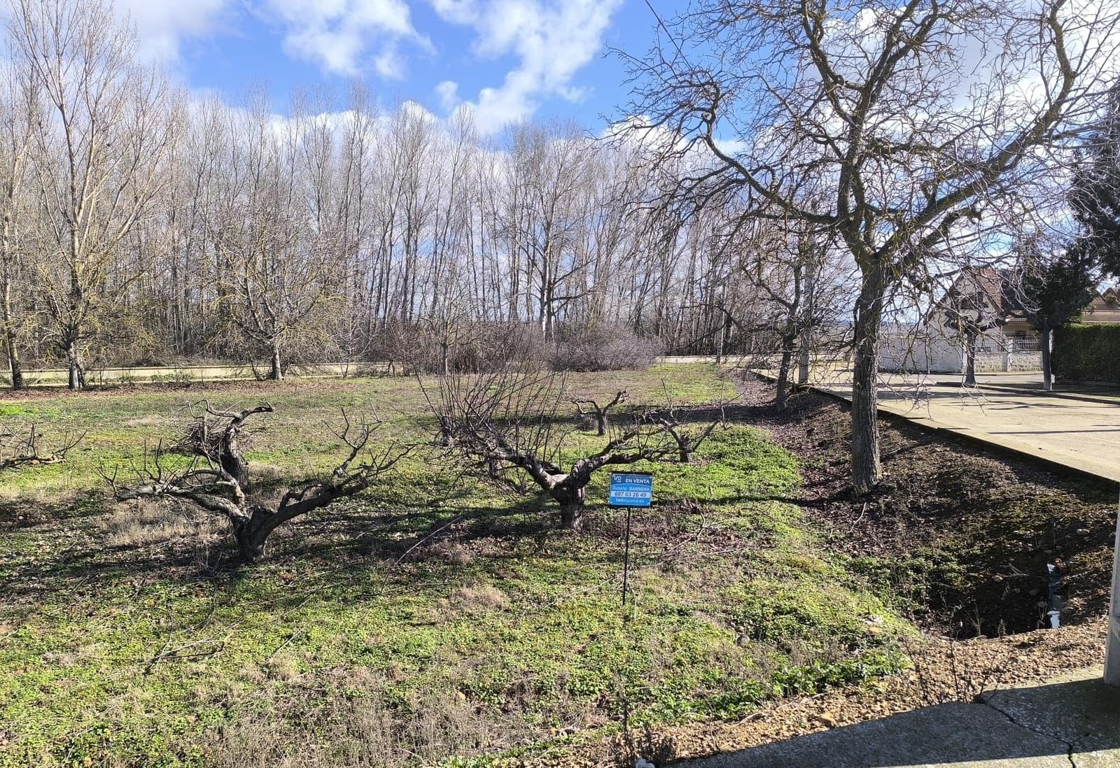 Building Plot for sale in San Millan de los Caballeros - € 25,800 (Ref: 10162247)