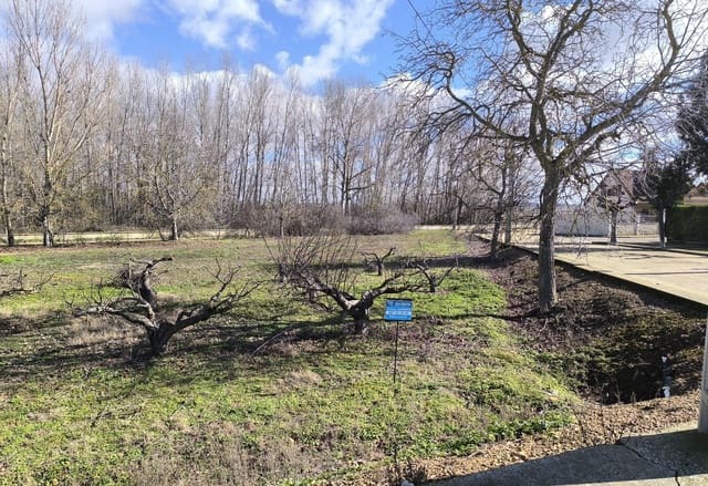 Building Plot for sale in San Millán de los Caballeros - € 25,800 (Ref: 10162247)