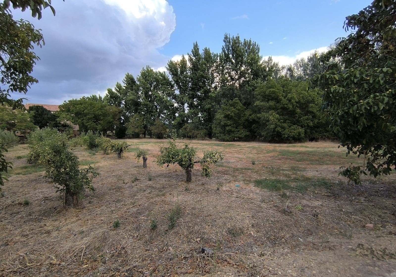 Building Plot for sale in San Millan de los Caballeros - € 25,800 (Ref: 10162247)