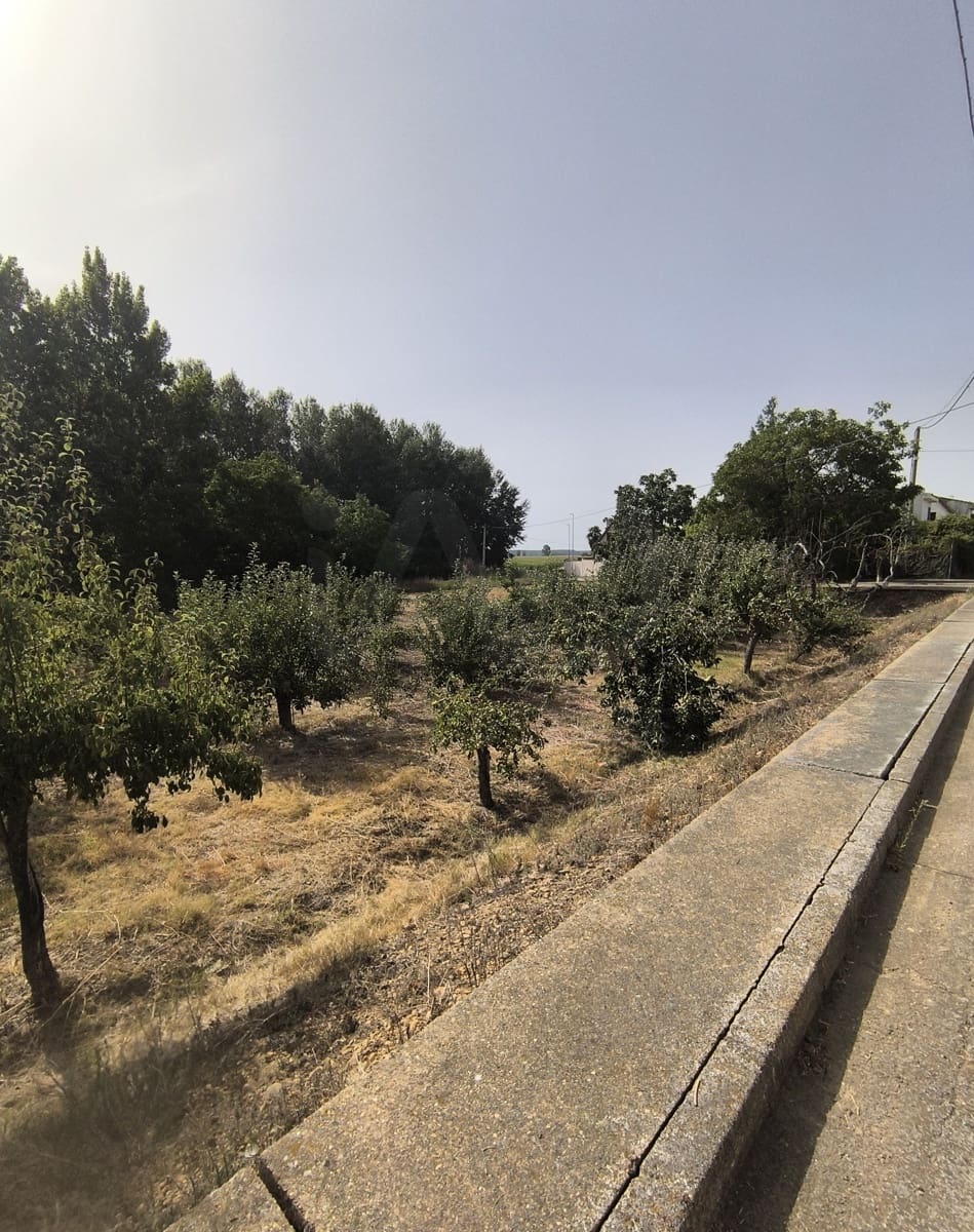 Building Plot for sale in San Millan de los Caballeros - € 25,800 (Ref: 10162247)