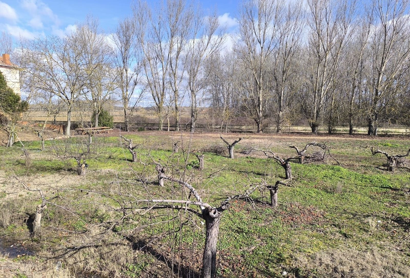 Building Plot for sale in San Millan de los Caballeros - € 25,800 (Ref: 10162247)