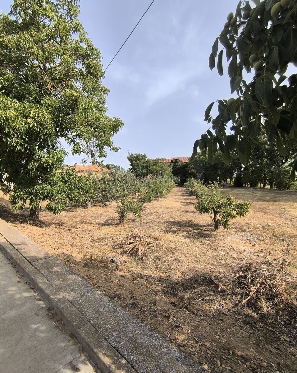 Building Plot for sale in San Millan de los Caballeros - € 25,800 (Ref: 10162247)