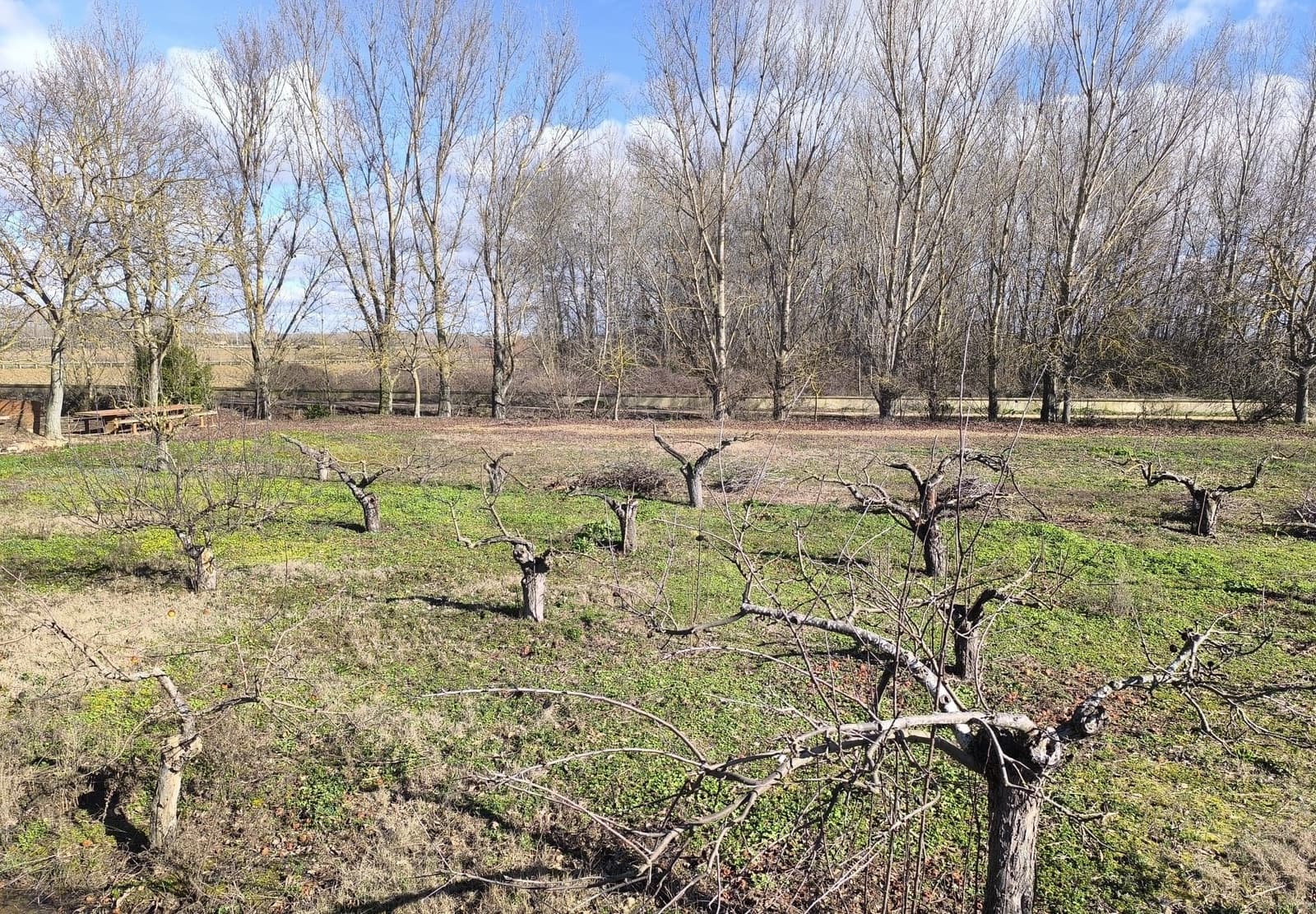 Building Plot for sale in San Millan de los Caballeros - € 25,800 (Ref: 10162247)