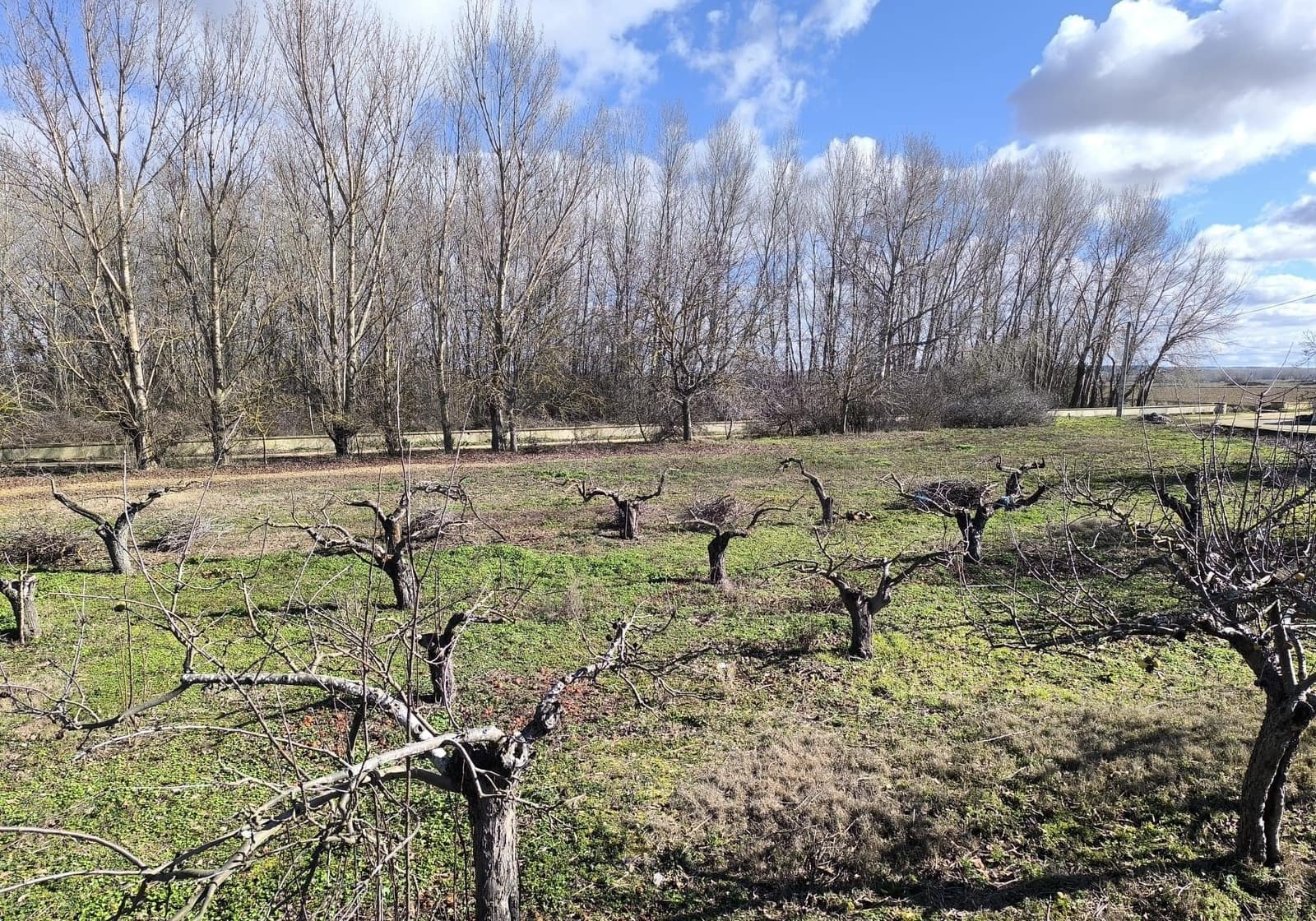 Building Plot for sale in San Millan de los Caballeros - € 25,800 (Ref: 10162247)