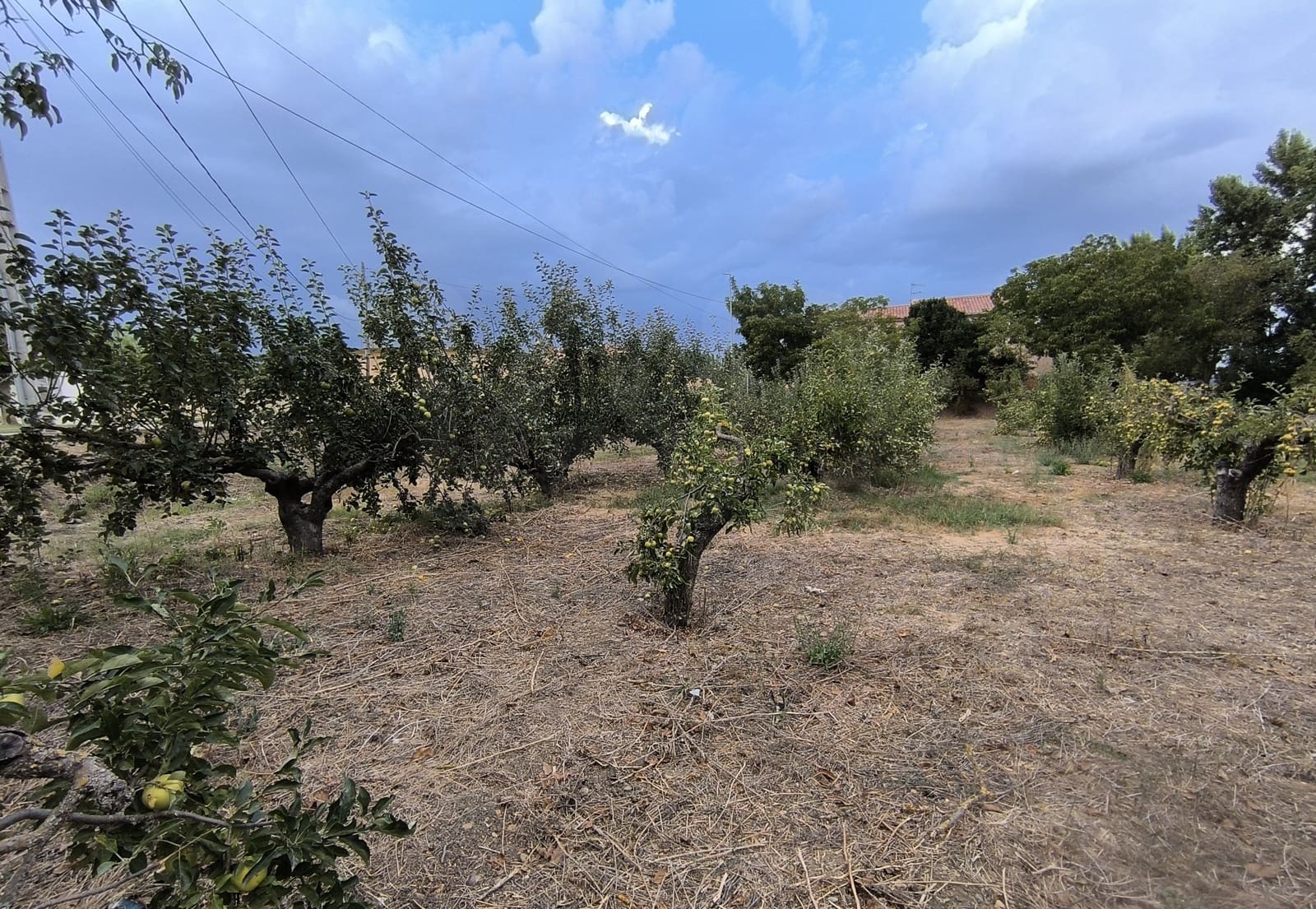 Building Plot for sale in San Millan de los Caballeros - € 25,800 (Ref: 10162247)