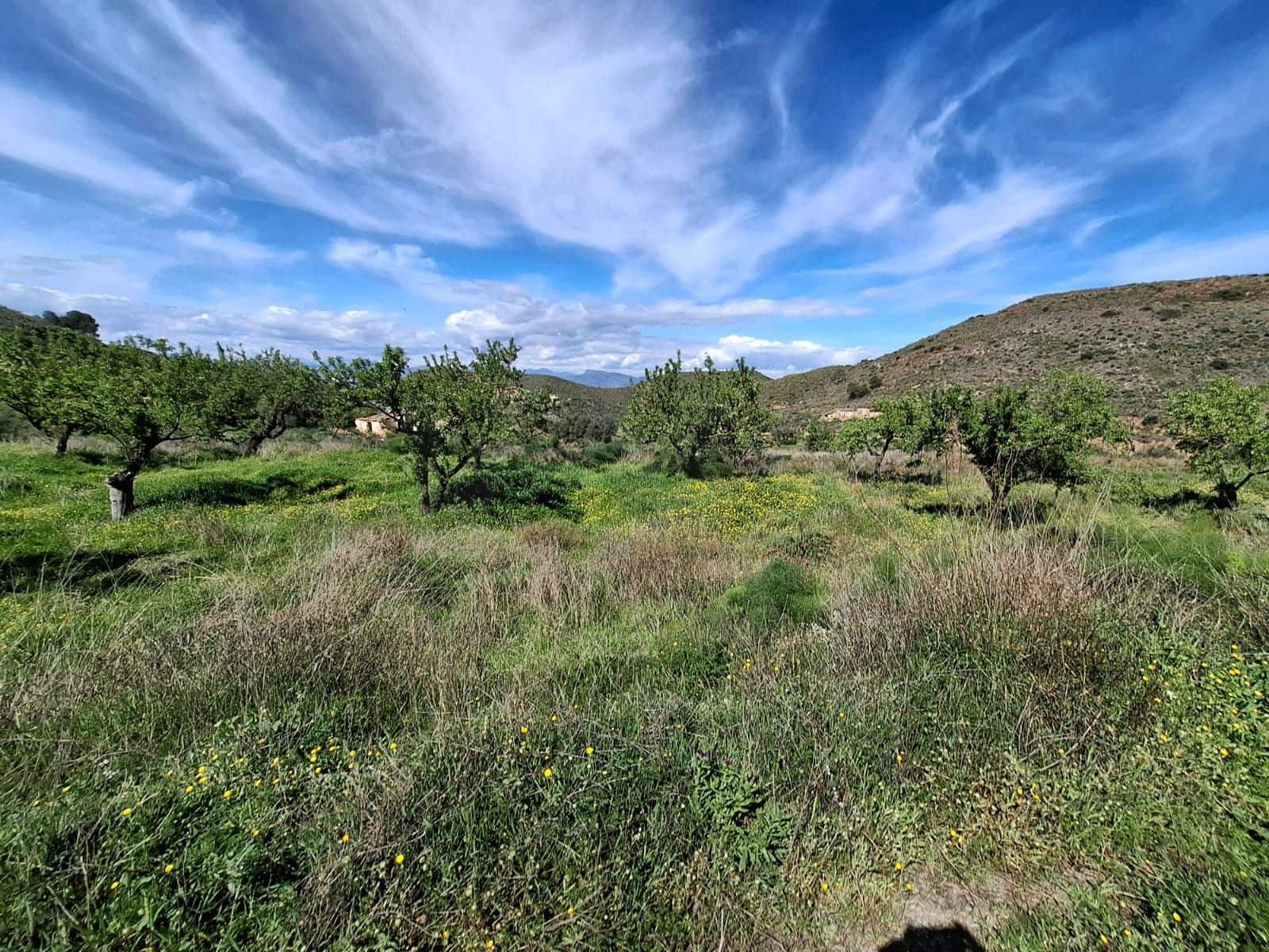 2 soveværelse Finca/Landehus til salg i Lorca - € 72.000 (Ref: 10162578)