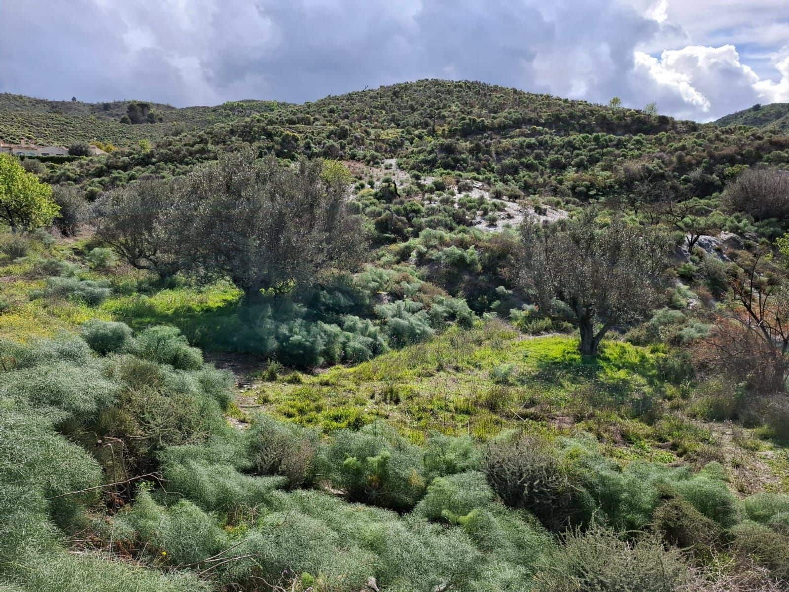 2 soveværelse Finca/Landehus til salg i Lorca - € 72.000 (Ref: 10162578)
