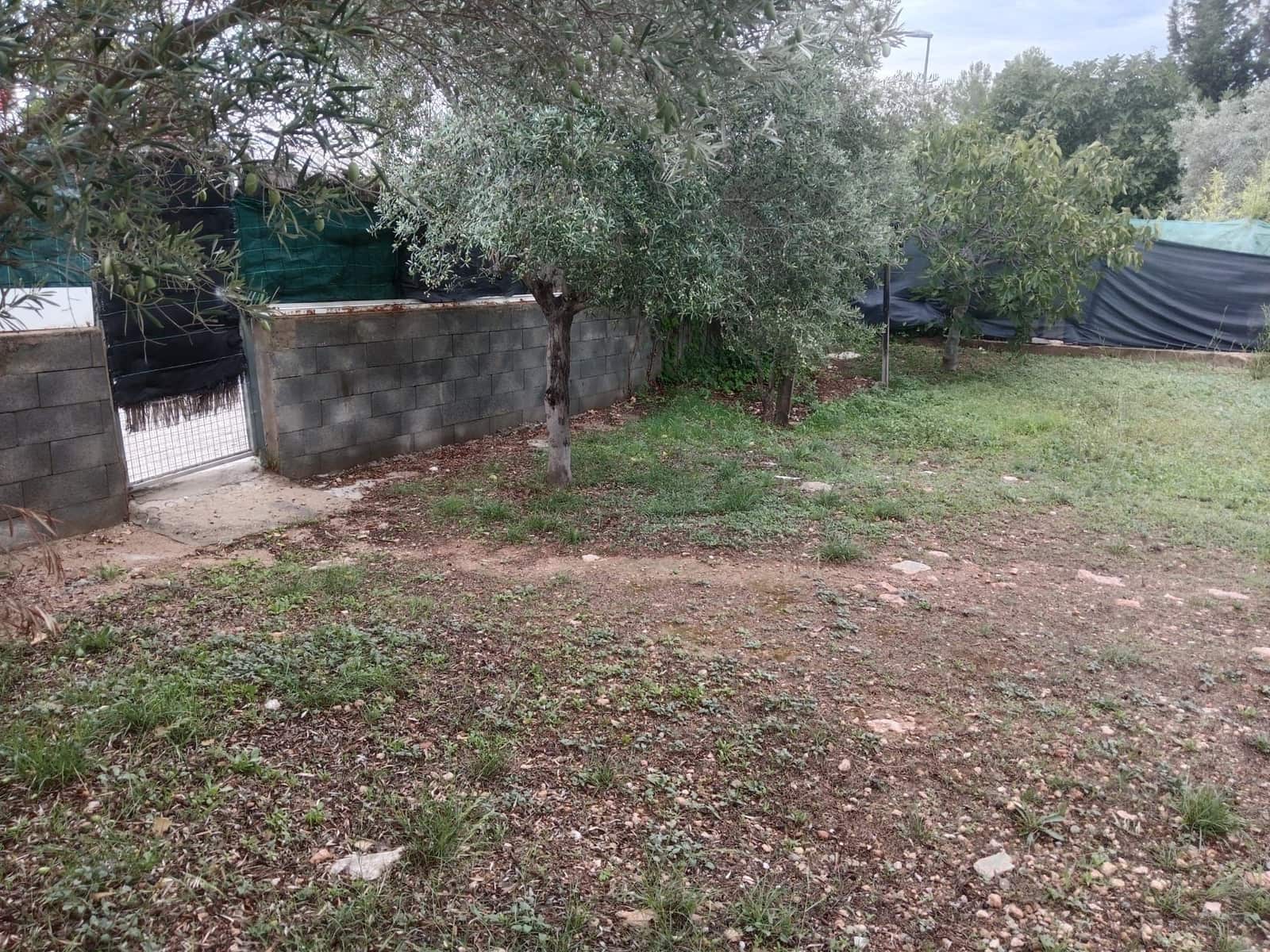 Terreno para Construção para venda em La Bisbal del Penedes - 53 000 € (Ref: 10163134)