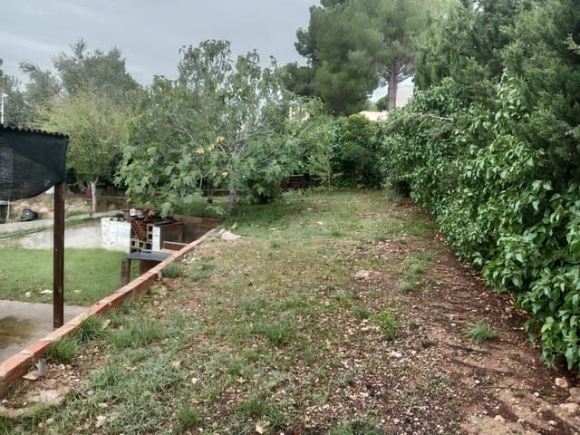 Terrain à Bâtir à vendre à La Bisbal del Penedès - 53 000 € (Ref: 10163134)
