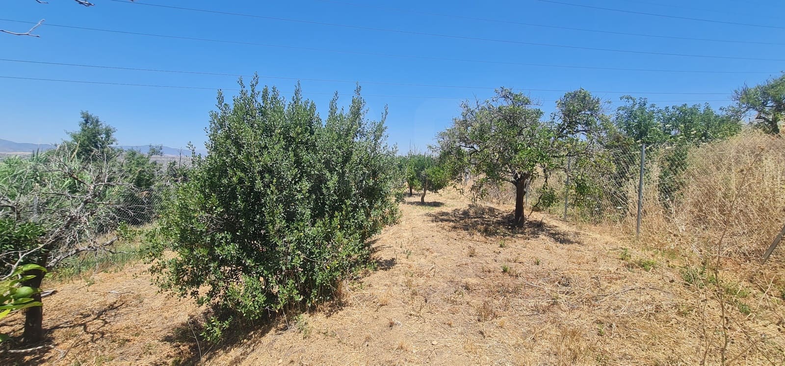 Undeveloped Land for sale in Alhaurin el Grande - € 95,000 (Ref: 10163668)