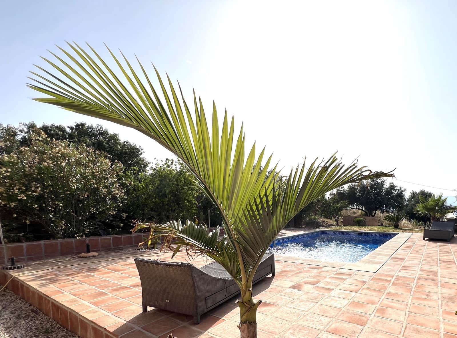 3 bedroom Townhouse for sale in Canillas de Aceituno with pool - € 281,400 (Ref: 10163669)