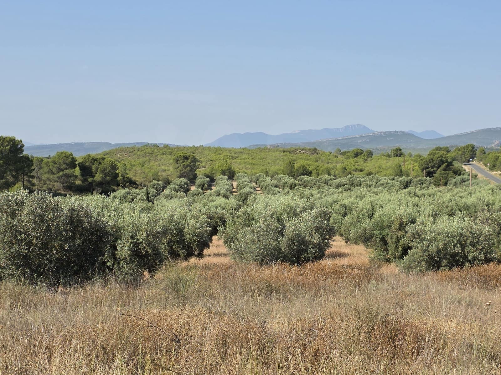 Finca/Landehus til salg i Moratalla - € 650.000 (Ref: 10165985)