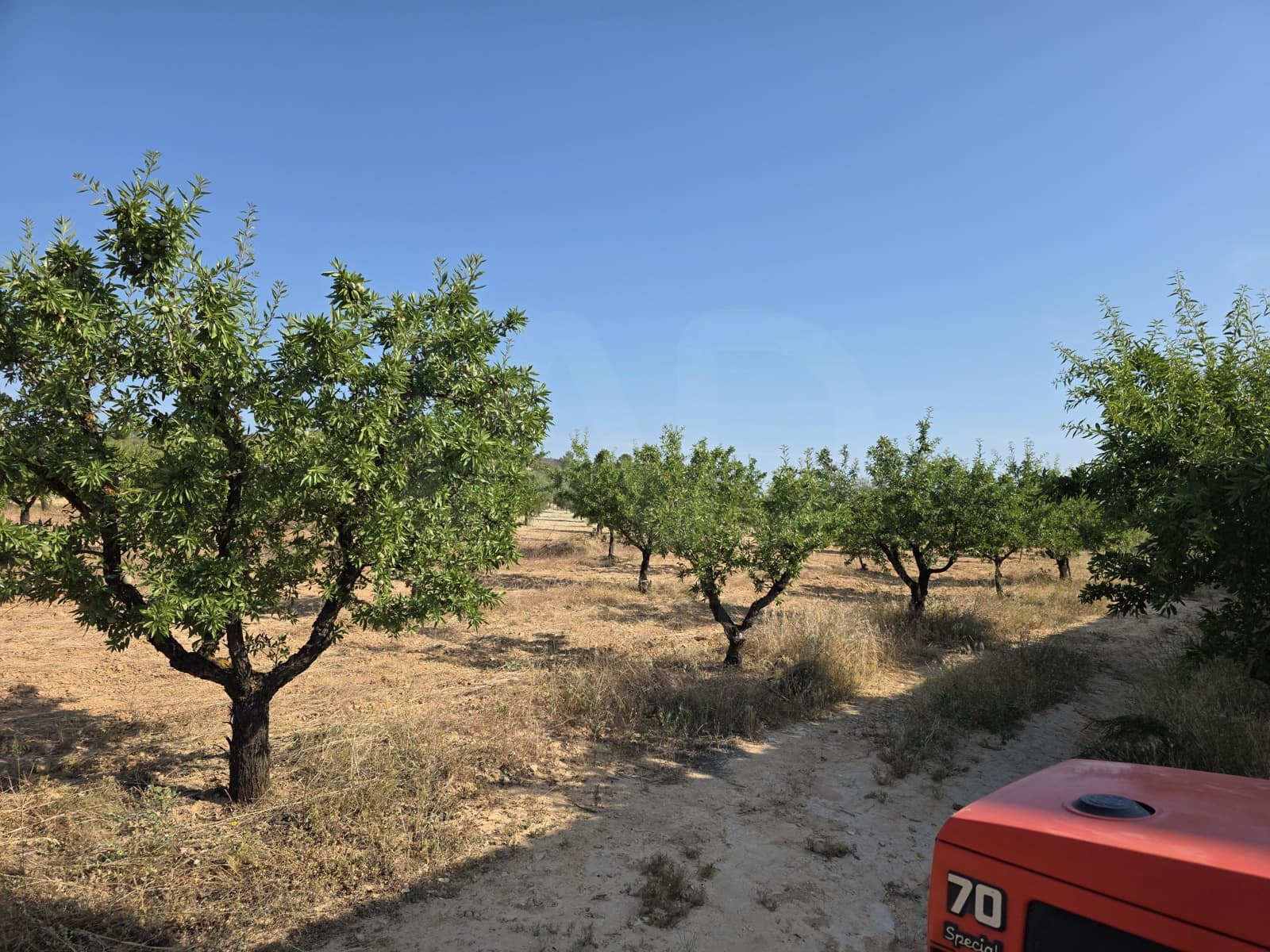 Finca/Landehus til salg i Moratalla - € 650.000 (Ref: 10165985)