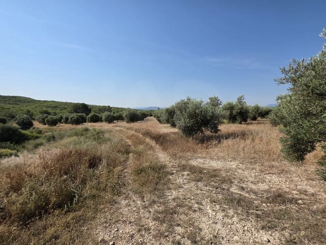 Finca/Landehus til salg i Moratalla - € 650.000 (Ref: 10165985)
