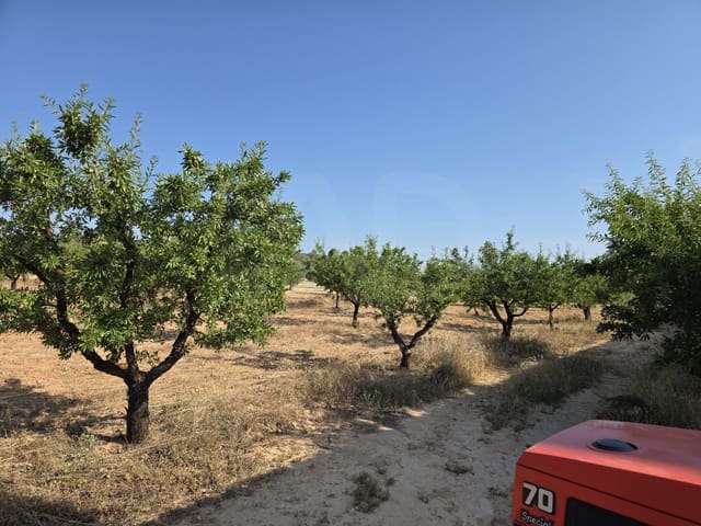 Finca/Landehus til salg i Moratalla - € 650.000 (Ref: 10165985)