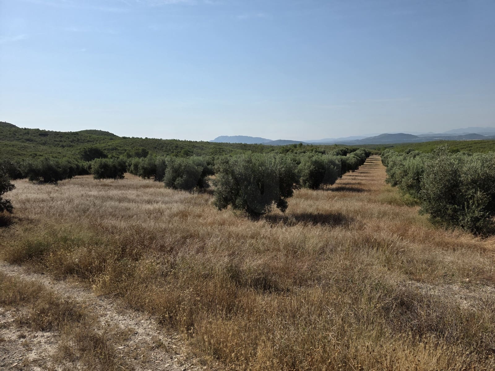 Finca/Landehus til salg i Moratalla - € 650.000 (Ref: 10165985)