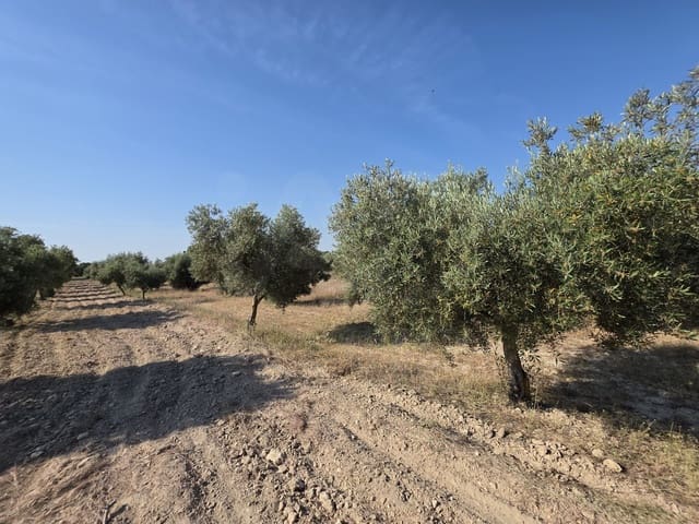 Finca/Landehus til salg i Moratalla - € 650.000 (Ref: 10165985)