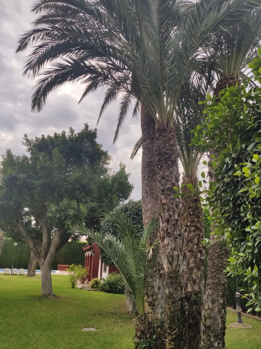 7 sovrum Villa till salu i San Juan de Alicante / Sant Joan d'Alacant med pool garage - 1 250 000 € (Ref: 10165989)