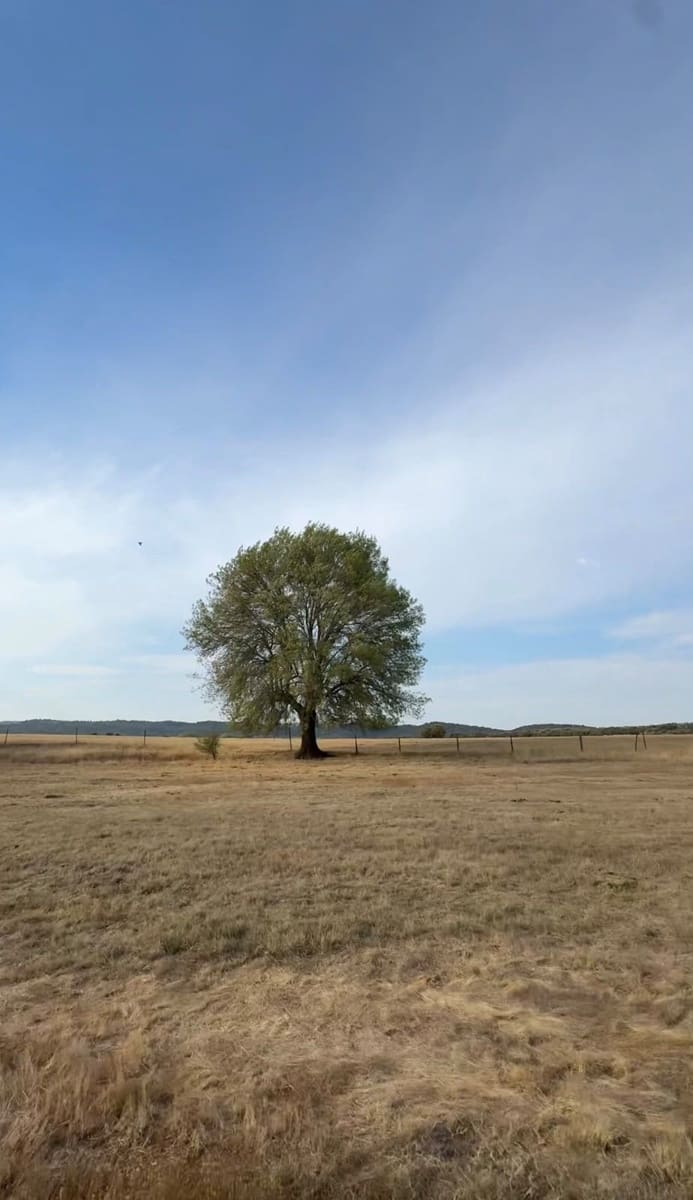 Terreno Não Urbanizado para venda em Arenas de San Pedro - 719 000 € (Ref: 10167555)