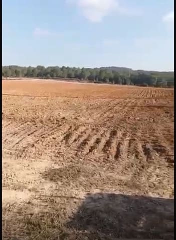 Finca/Maison de Campagne à vendre à Perafort - 565 000 € (Ref: 10167564)