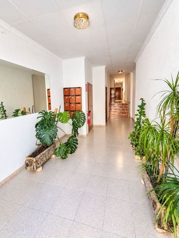 4 makuuhuone Huoneisto myytävänä paikassa Calasparra - 79 500 € (Ref: 10168502)