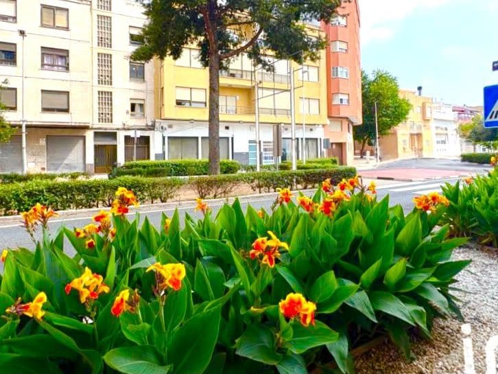 Commercial for sale in Tavernes de la Valldigna - € 299,000 (Ref: 10168504)
