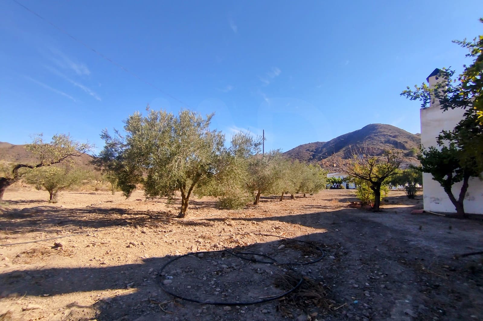 4 sovrum Finca/Hus på landet till salu i Sorbas - 155 000 € (Ref: 10169356)