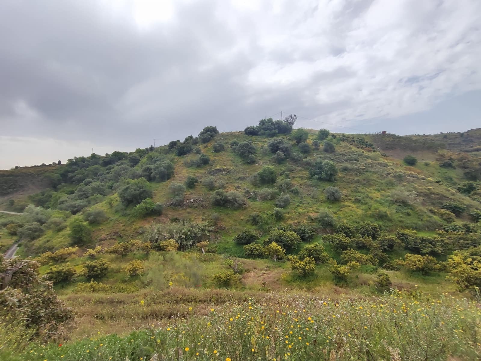Undeveloped Land for sale in Velez-Malaga - € 550,000 (Ref: 10169363)