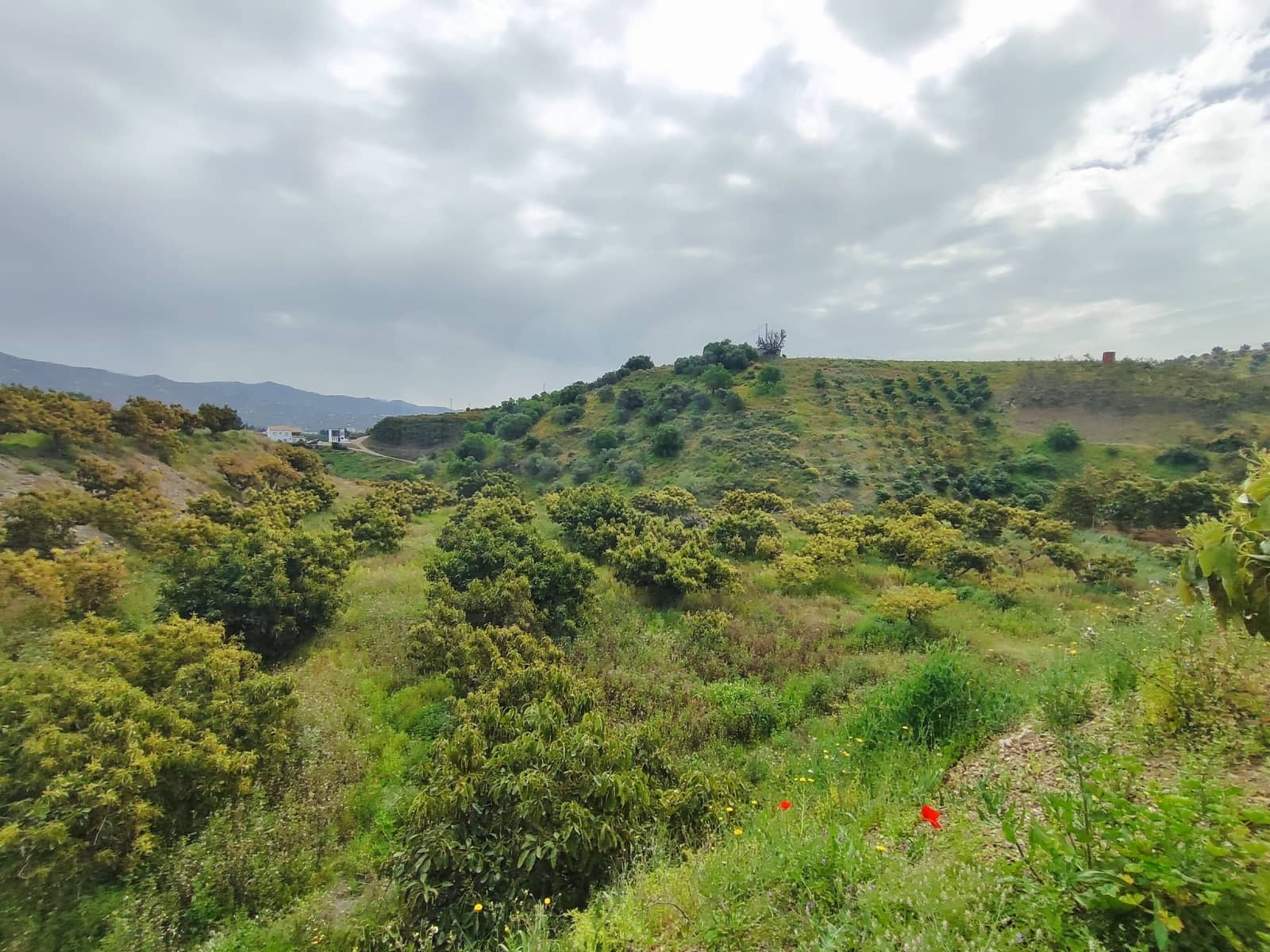 Undeveloped Land for sale in Velez-Malaga - € 550,000 (Ref: 10169363)