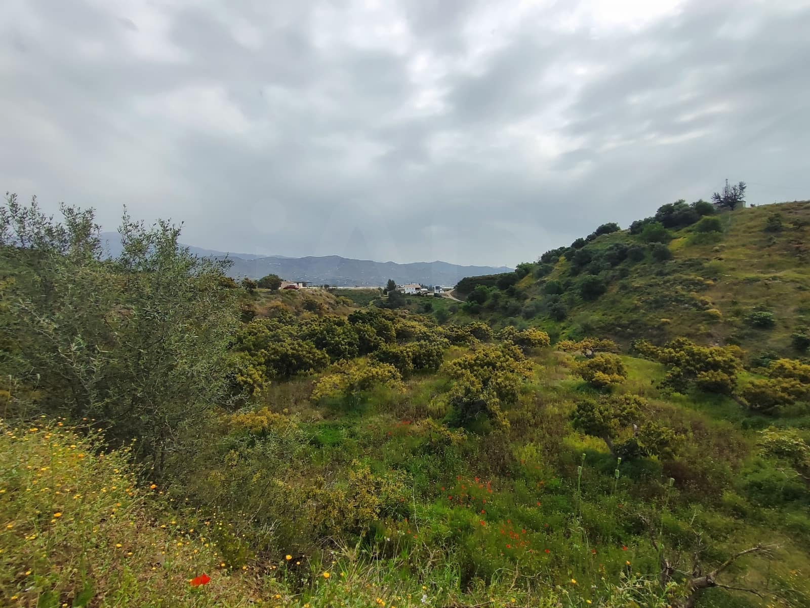 Undeveloped Land for sale in Velez-Malaga - € 550,000 (Ref: 10169363)