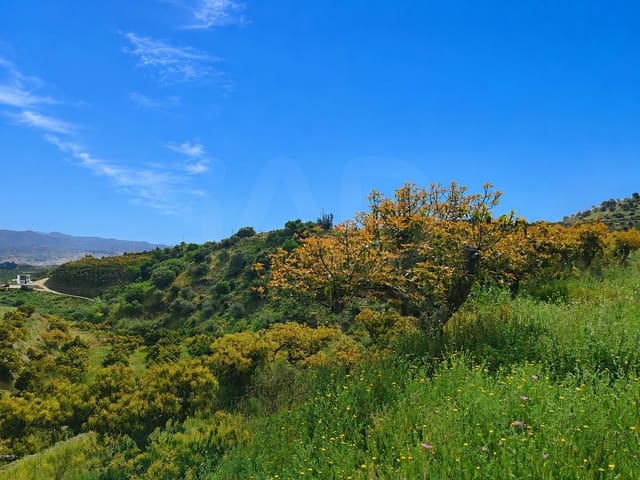 Undeveloped Land for sale in Vélez-Málaga - € 550,000 (Ref: 10169363)