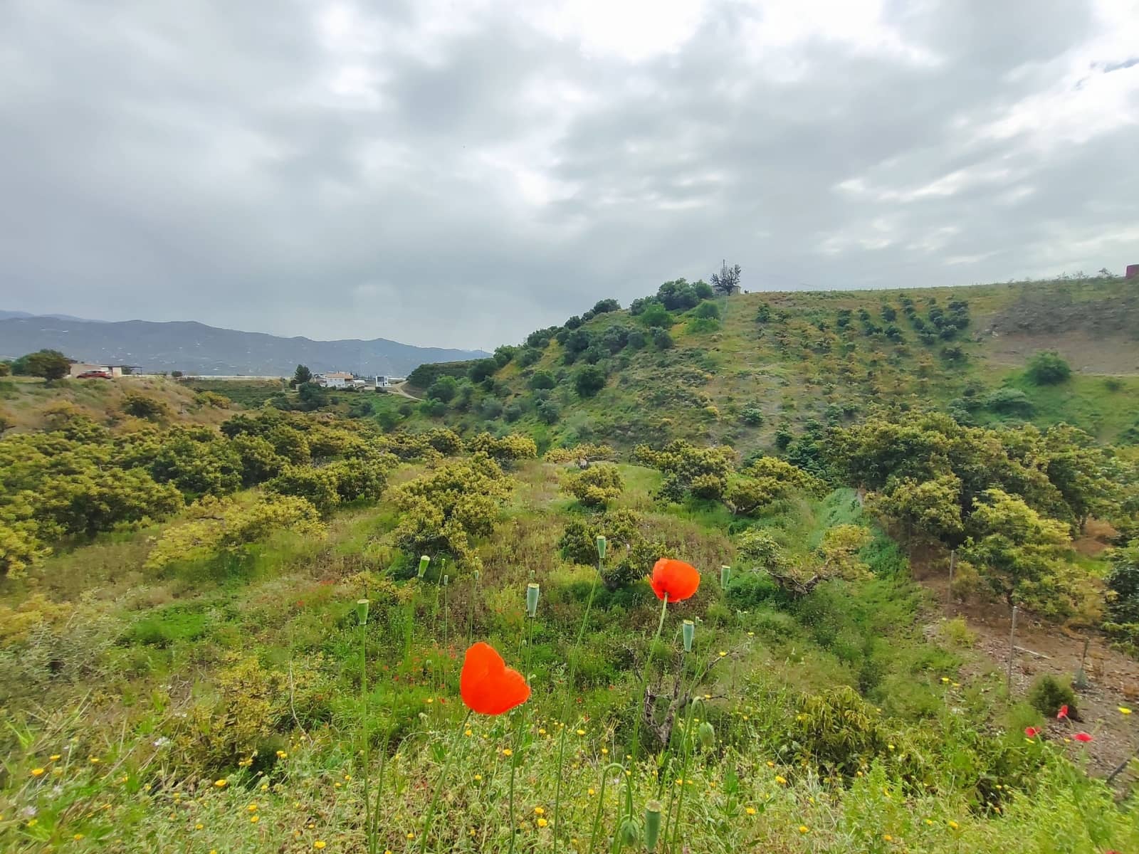 Undeveloped Land for sale in Velez-Malaga - € 550,000 (Ref: 10169363)
