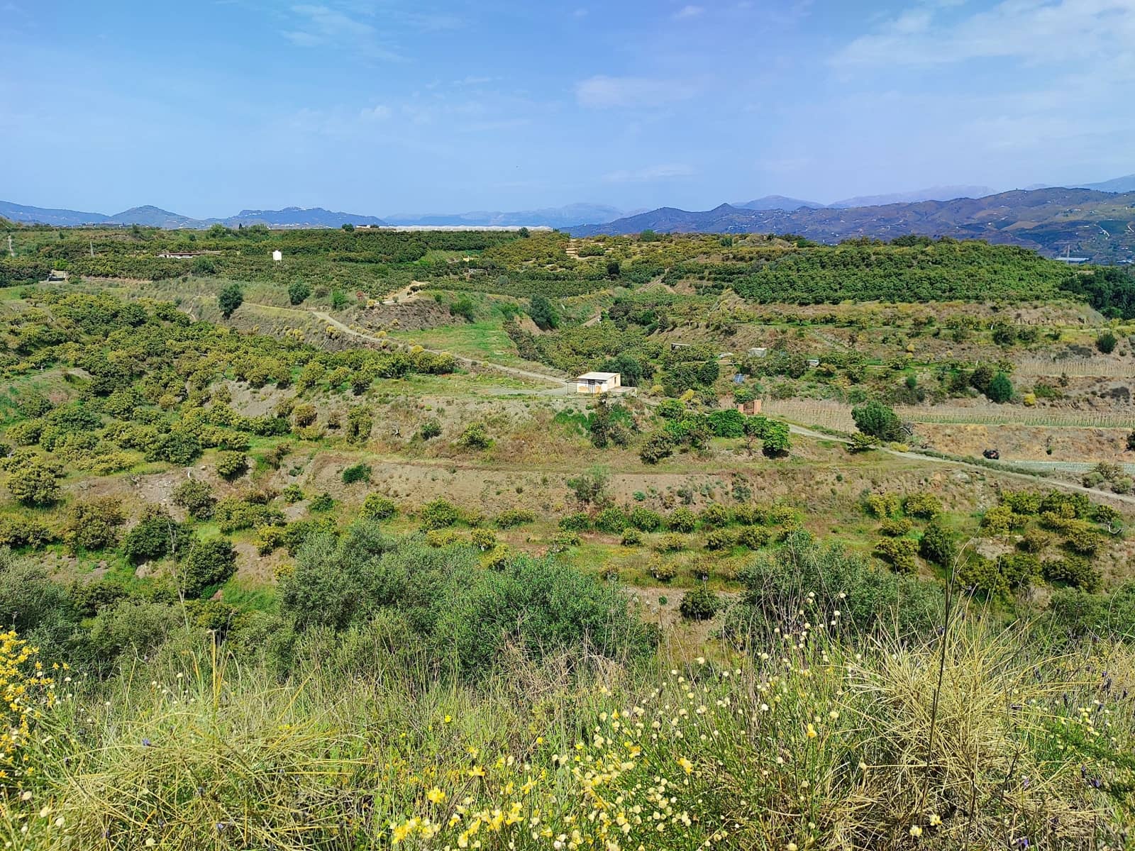 Undeveloped Land for sale in Velez-Malaga - € 550,000 (Ref: 10169363)