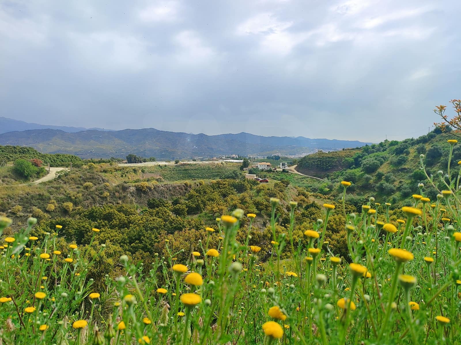 Undeveloped Land for sale in Velez-Malaga - € 550,000 (Ref: 10169363)