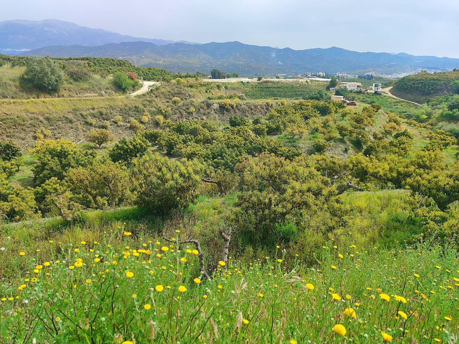 Undeveloped Land for sale in Velez-Malaga - € 550,000 (Ref: 10169363)