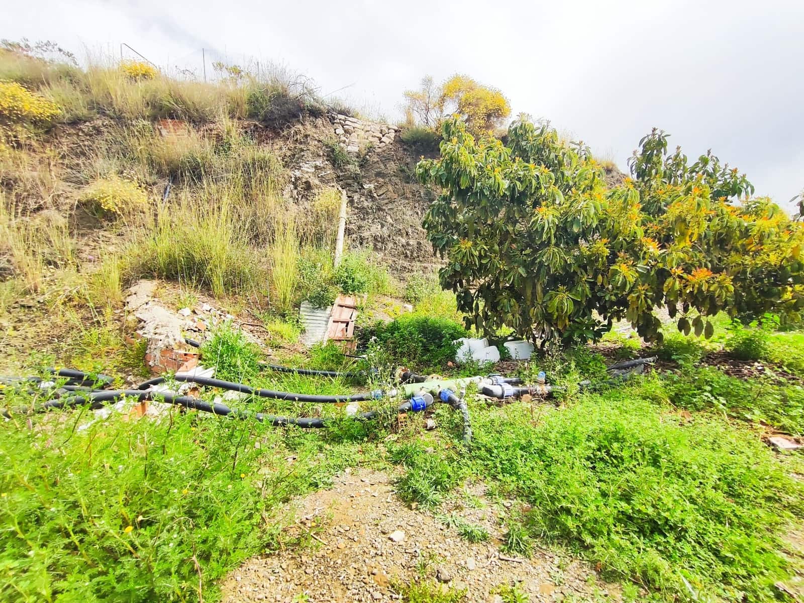 Undeveloped Land for sale in Velez-Malaga - € 550,000 (Ref: 10169363)