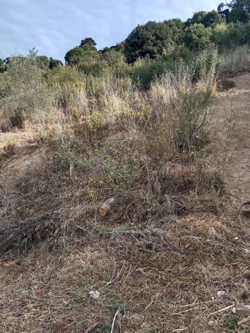 Terreno Non Edificato in vendita in Sant Cebrià de Vallalta - 1.427.400 € (Rif: 10173105)