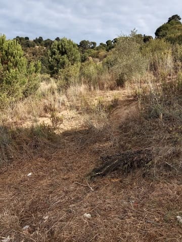 Terreno Non Edificato in vendita in Sant Cebrià de Vallalta - 1.427.400 € (Rif: 10173105)