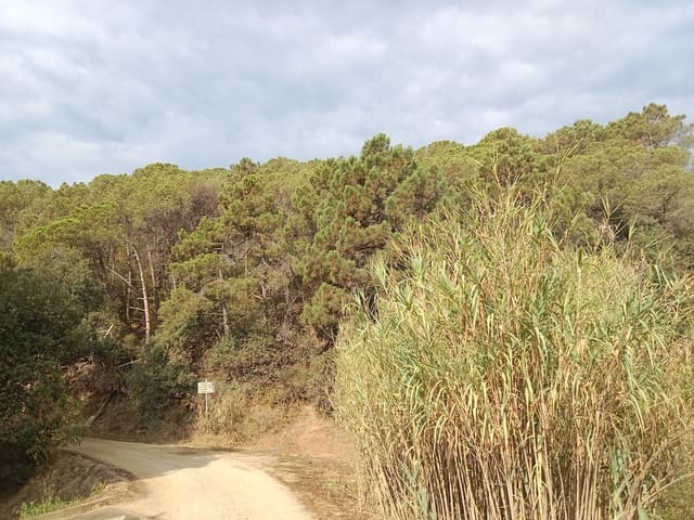 Terreno Non Edificato in vendita in Sant Cebrià de Vallalta - 1.427.400 € (Rif: 10173105)