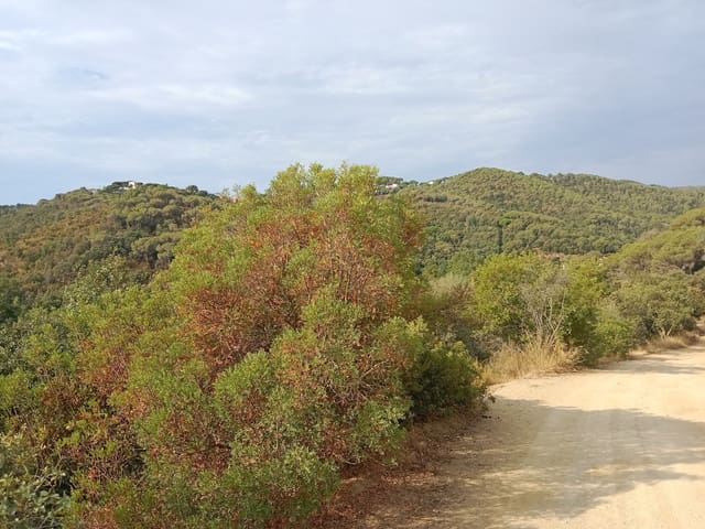 Terreno Non Edificato in vendita in Sant Cebrià de Vallalta - 1.427.400 € (Rif: 10173105)