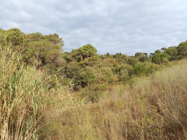 Terreno Non Edificato in vendita in Sant Cebrià de Vallalta - 1.427.400 € (Rif: 10173105)