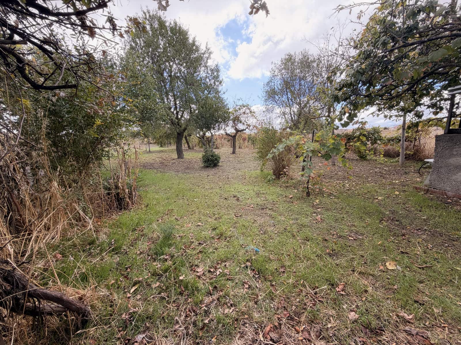 Finca/Country House for sale in Castellanos de Moriscos with pool - € 36,000 (Ref: 10173113)