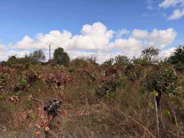 Finca/Landehus til salg i Castellanos de Moriscos - € 36.000 (Ref: 10173113)