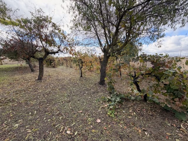 Finca/Landehus til salg i Castellanos de Moriscos - € 36.000 (Ref: 10173113)