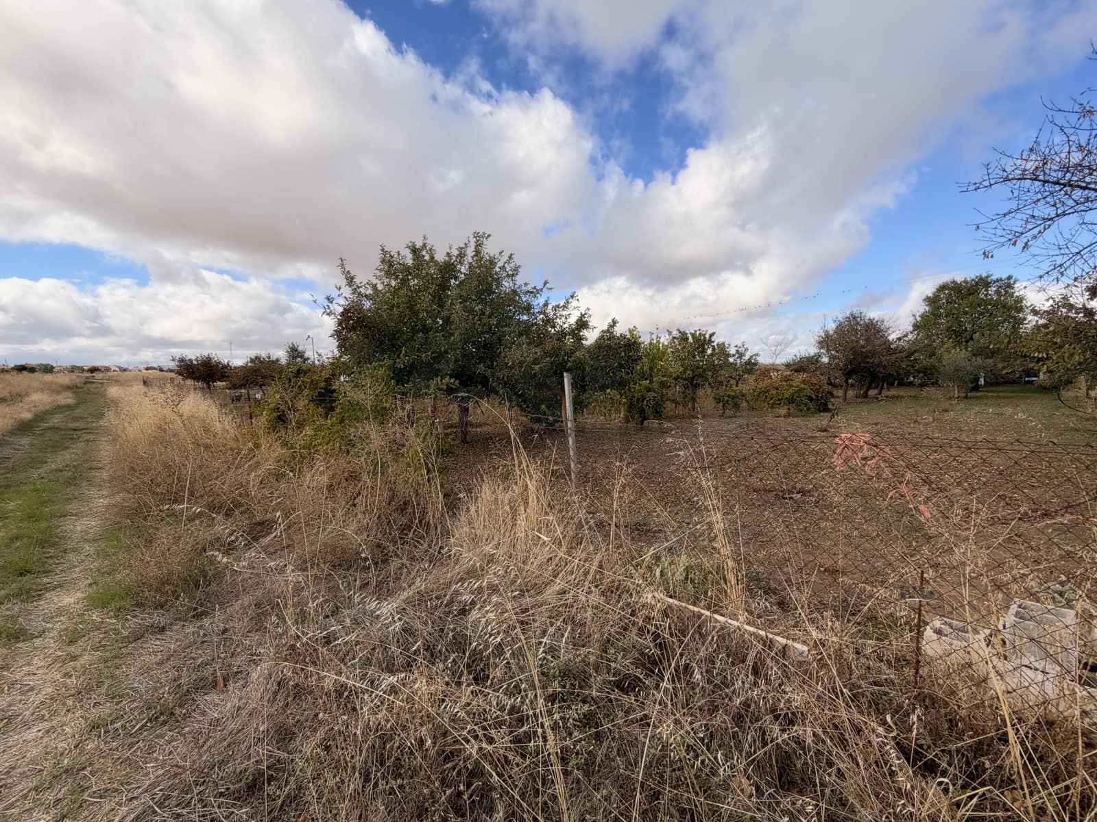 Finca/Hus på landet till salu i Castellanos de Moriscos med pool - 36 000 € (Ref: 10173113)