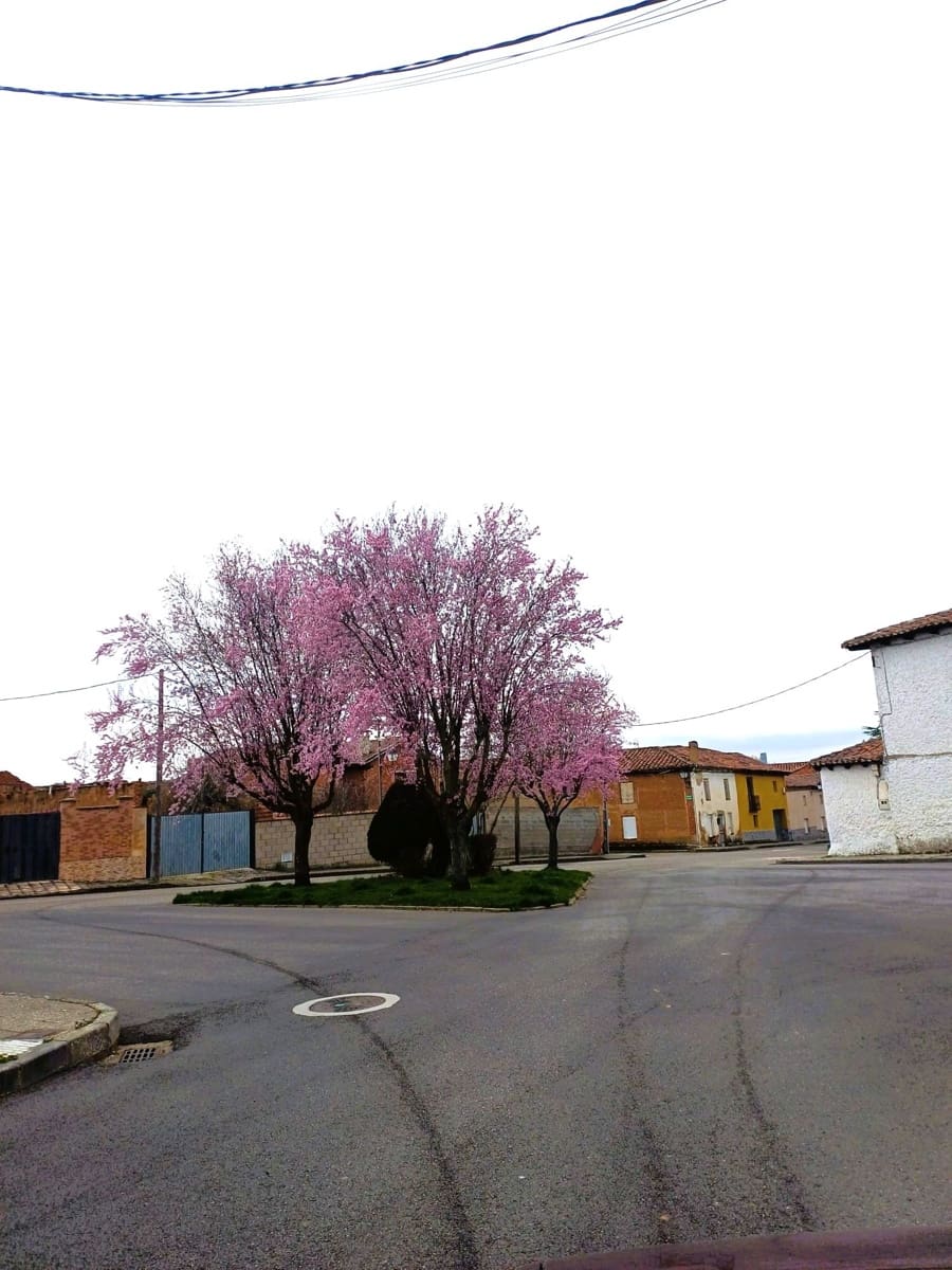 3 camera da letto Casa in vendita in Valverde de la Virgen con garage - 49.700 € (Rif: 10176208)
