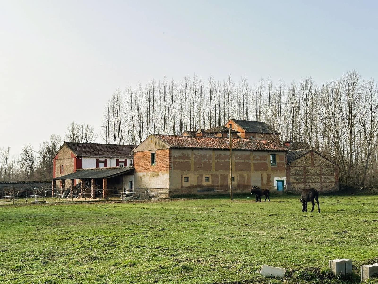 3 camera da letto Finca/Casa di Campagna in vendita in San Andres del Rabanedo con garage - 429.000 € (Rif: 10176219)